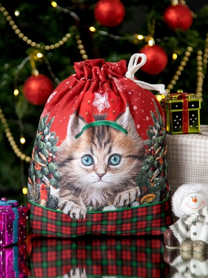 Сумка-мешок Подарочный Котята